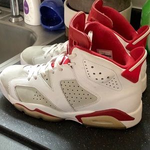 Jordan Retro 6 Alternate